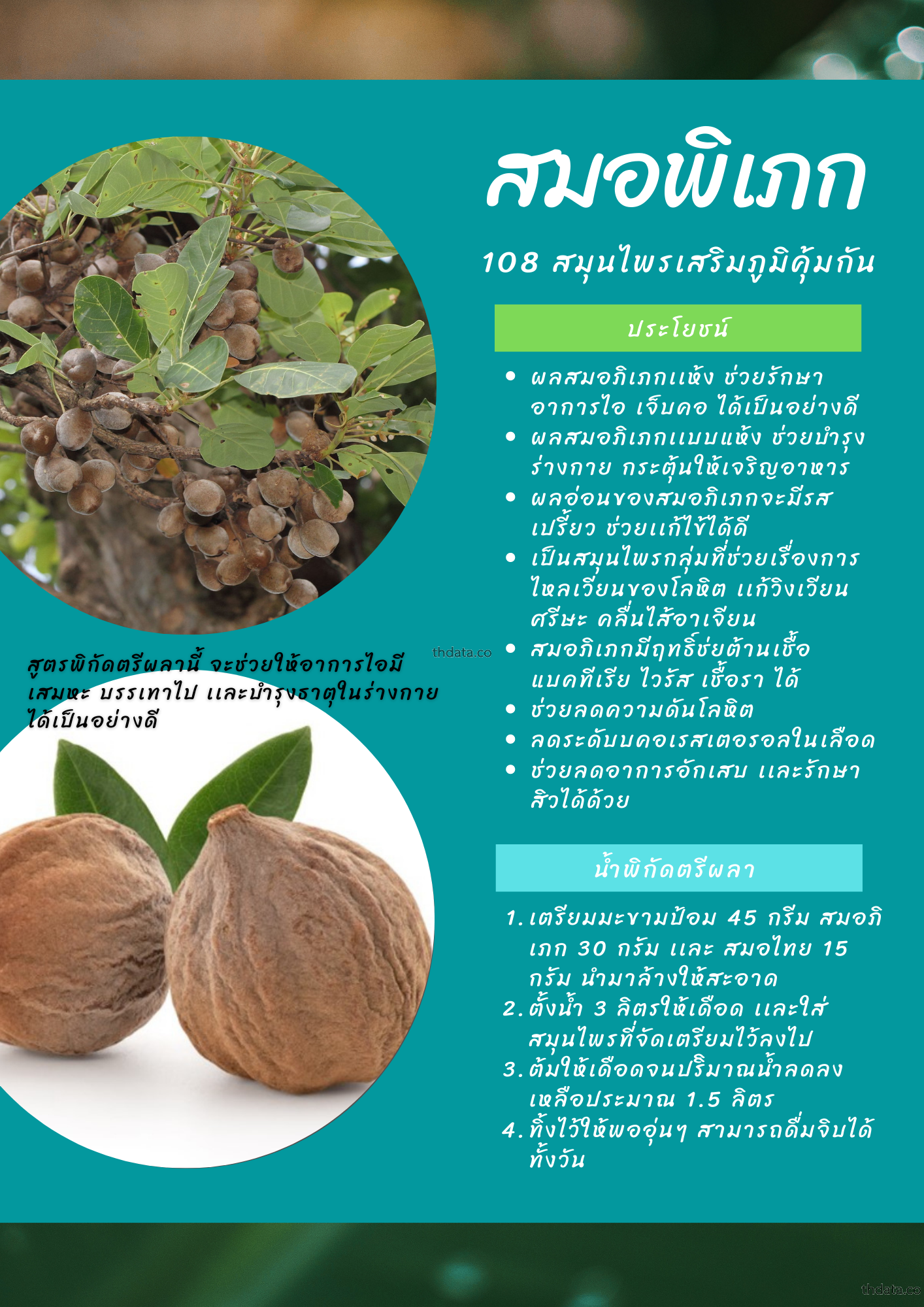 สมอพิเภก-108-สมุนไพรเสริมภูมิคุ้มกัน สมุนไพร สมอพิเภก-108-สมุนไพรเสริมภูมิคุ้มกัน สรรพคุณของสมอพิเภก-108-สมุนไพรเสริมภูมิคุ้มกัน thai-herbs.thdata.co thdata.co